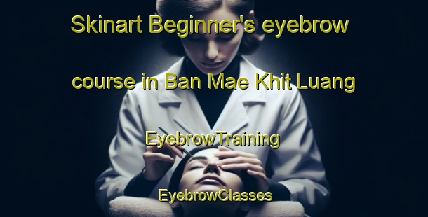 Skinart Beginner's eyebrow course in Ban Mae Khit Luang | EyebrowTraining | EyebrowClasses | SkinartTraining-Thailand