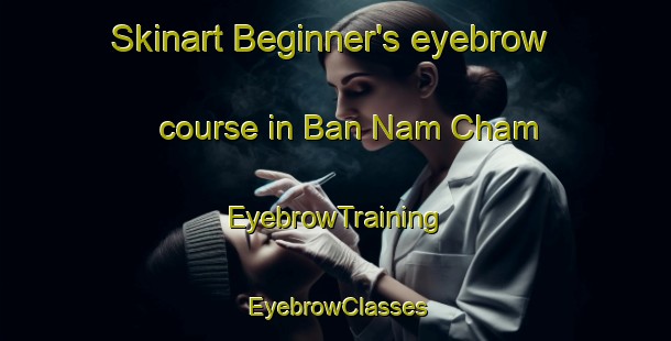 Skinart Beginner's eyebrow course in Ban Nam Cham | EyebrowTraining | EyebrowClasses | SkinartTraining-Thailand
