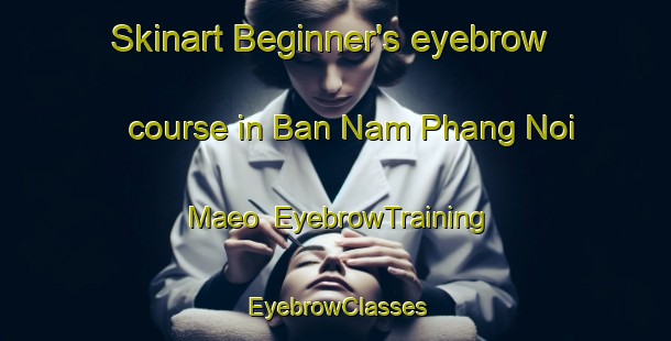 Skinart Beginner's eyebrow course in Ban Nam Phang Noi Maeo | EyebrowTraining | EyebrowClasses | SkinartTraining-Thailand