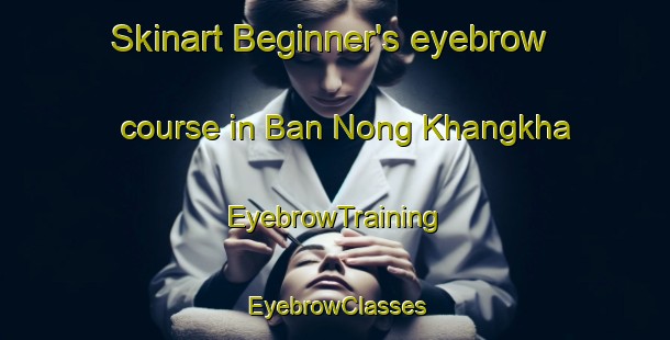 Skinart Beginner's eyebrow course in Ban Nong Khangkha | EyebrowTraining | EyebrowClasses | SkinartTraining-Thailand