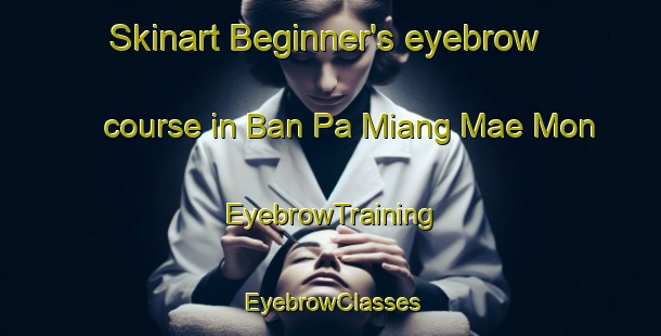 Skinart Beginner's eyebrow course in Ban Pa Miang Mae Mon | EyebrowTraining | EyebrowClasses | SkinartTraining-Thailand
