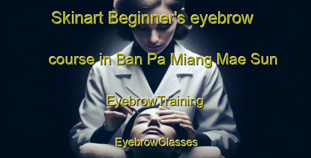 Skinart Beginner's eyebrow course in Ban Pa Miang Mae Sun | EyebrowTraining | EyebrowClasses | SkinartTraining-Thailand