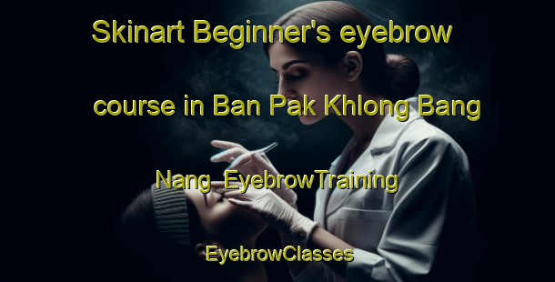 Skinart Beginner's eyebrow course in Ban Pak Khlong Bang Nang | EyebrowTraining | EyebrowClasses | SkinartTraining-Thailand