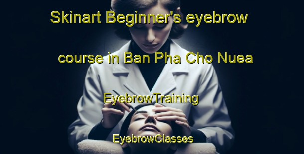 Skinart Beginner's eyebrow course in Ban Pha Cho Nuea | EyebrowTraining | EyebrowClasses | SkinartTraining-Thailand