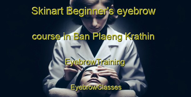 Skinart Beginner's eyebrow course in Ban Plaeng Krathin | EyebrowTraining | EyebrowClasses | SkinartTraining-Thailand