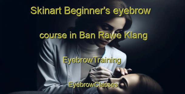 Skinart Beginner's eyebrow course in Ban Rawe Klang | EyebrowTraining | EyebrowClasses | SkinartTraining-Thailand