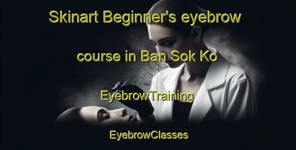 Skinart Beginner's eyebrow course in Ban Sok Ko | EyebrowTraining | EyebrowClasses | SkinartTraining-Thailand