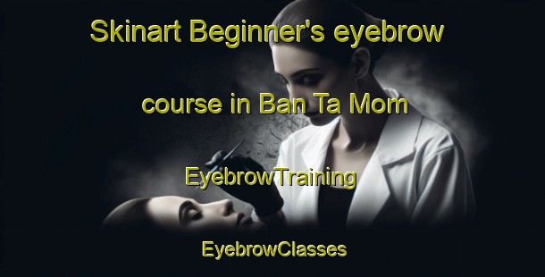 Skinart Beginner's eyebrow course in Ban Ta Mom | EyebrowTraining | EyebrowClasses | SkinartTraining-Thailand