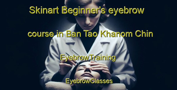 Skinart Beginner's eyebrow course in Ban Tao Khanom Chin | EyebrowTraining | EyebrowClasses | SkinartTraining-Thailand