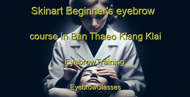 Skinart Beginner's eyebrow course in Ban Thaeo Klang Klai | EyebrowTraining | EyebrowClasses | SkinartTraining-Thailand