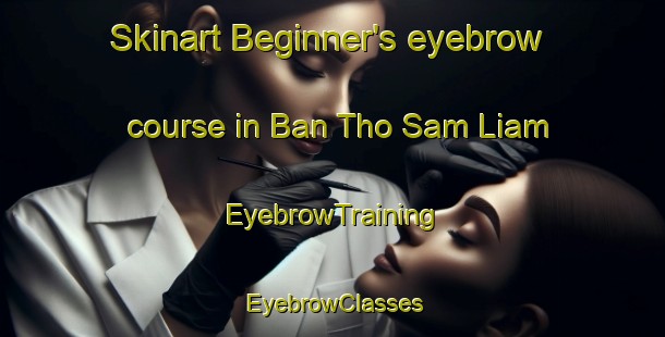 Skinart Beginner's eyebrow course in Ban Tho Sam Liam | EyebrowTraining | EyebrowClasses | SkinartTraining-Thailand