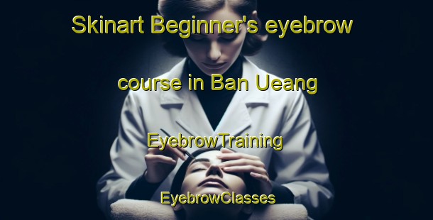 Skinart Beginner's eyebrow course in Ban Ueang | EyebrowTraining | EyebrowClasses | SkinartTraining-Thailand
