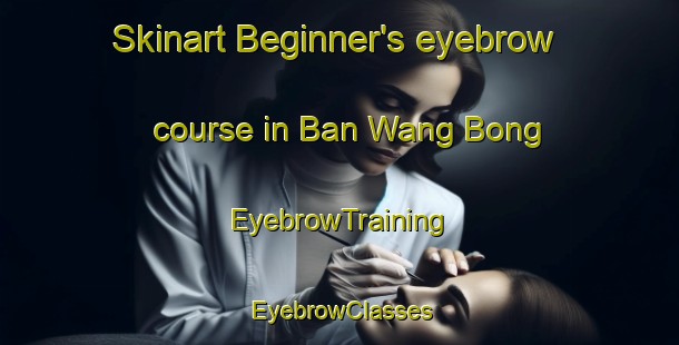 Skinart Beginner's eyebrow course in Ban Wang Bong | EyebrowTraining | EyebrowClasses | SkinartTraining-Thailand