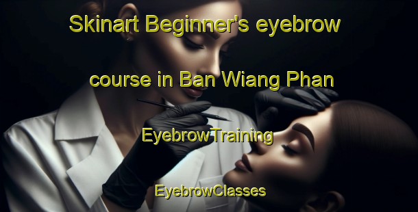 Skinart Beginner's eyebrow course in Ban Wiang Phan | EyebrowTraining | EyebrowClasses | SkinartTraining-Thailand