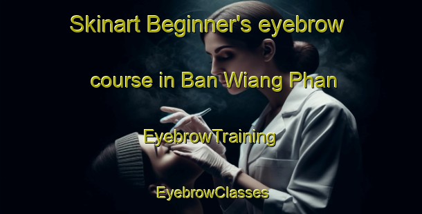 Skinart Beginner's eyebrow course in Ban Wiang Phan | EyebrowTraining | EyebrowClasses | SkinartTraining-Thailand