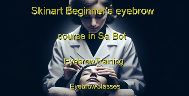 Skinart Beginner's eyebrow course in Sa Bot | EyebrowTraining | EyebrowClasses | SkinartTraining-Thailand