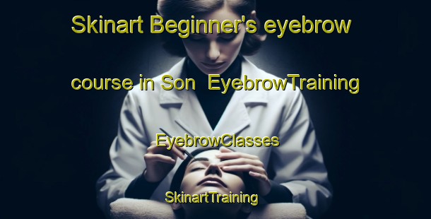 Skinart Beginner's eyebrow course in Son | EyebrowTraining | EyebrowClasses | SkinartTraining-Thailand
