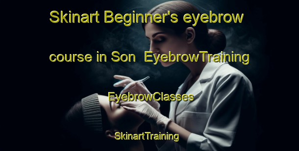 Skinart Beginner's eyebrow course in Son | EyebrowTraining | EyebrowClasses | SkinartTraining-Thailand