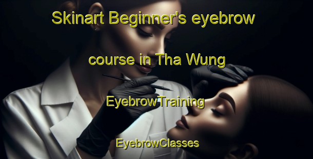 Skinart Beginner's eyebrow course in Tha Wung | EyebrowTraining | EyebrowClasses | SkinartTraining-Thailand