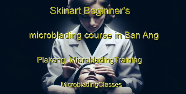 Skinart Beginner's microblading course in Ban Ang Plakang | MicrobladingTraining | MicrobladingClasses | SkinartTraining-Thailand