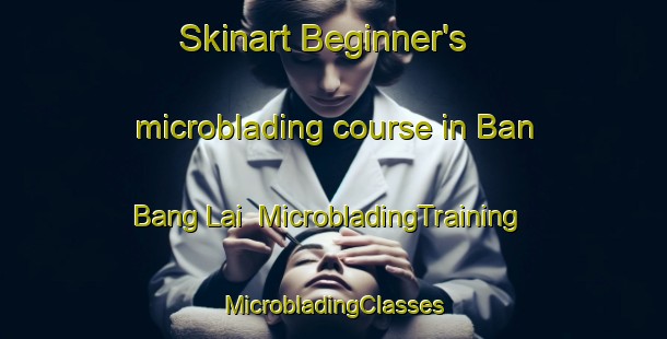 Skinart Beginner's microblading course in Ban Bang Lai | #MicrobladingTraining #MicrobladingClasses #SkinartTraining-Thailand