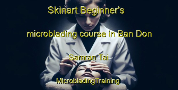 Skinart Beginner's microblading course in Ban Don Samran Tai | #MicrobladingTraining #MicrobladingClasses #SkinartTraining-Thailand