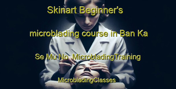 Skinart Beginner's microblading course in Ban Ka Se Mu No | MicrobladingTraining | MicrobladingClasses | SkinartTraining-Thailand