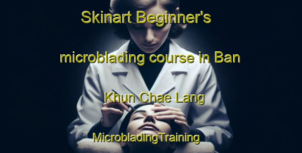 Skinart Beginner's microblading course in Ban Khun Chae Lang | MicrobladingTraining | MicrobladingClasses | SkinartTraining-Thailand