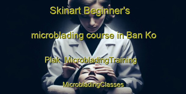 Skinart Beginner's microblading course in Ban Ko Plak | #MicrobladingTraining #MicrobladingClasses #SkinartTraining-Thailand