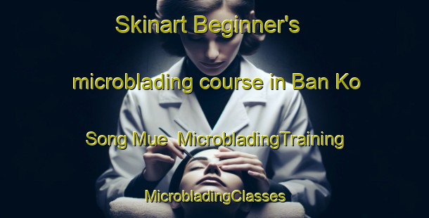 Skinart Beginner's microblading course in Ban Ko Song Mue | #MicrobladingTraining #MicrobladingClasses #SkinartTraining-Thailand