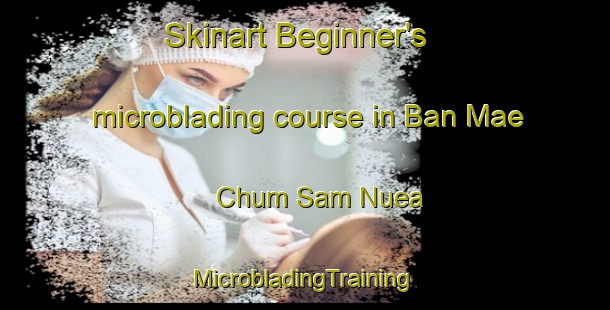 Skinart Beginner's microblading course in Ban Mae Chum Sam Nuea | #MicrobladingTraining #MicrobladingClasses #SkinartTraining-Thailand