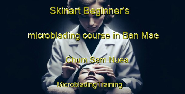 Skinart Beginner's microblading course in Ban Mae Chum Sam Nuea | MicrobladingTraining | MicrobladingClasses | SkinartTraining-Thailand