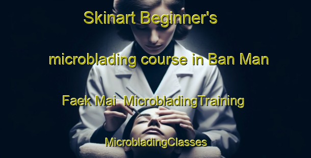 Skinart Beginner's microblading course in Ban Man Faek Mai | #MicrobladingTraining #MicrobladingClasses #SkinartTraining-Thailand