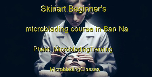 Skinart Beginner's microblading course in Ban Na Phaet | MicrobladingTraining | MicrobladingClasses | SkinartTraining-Thailand