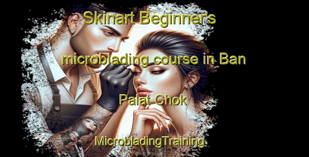 Skinart Beginner's microblading course in Ban Palat Chok | MicrobladingTraining | MicrobladingClasses | SkinartTraining-Thailand