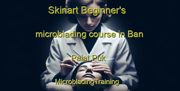 Skinart Beginner's microblading course in Ban Palat Puk | MicrobladingTraining | MicrobladingClasses | SkinartTraining-Thailand