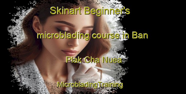 Skinart Beginner's microblading course in Ban Plak Cha Nuea | MicrobladingTraining | MicrobladingClasses | SkinartTraining-Thailand