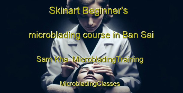 Skinart Beginner's microblading course in Ban Sai Sam Kha | MicrobladingTraining | MicrobladingClasses | SkinartTraining-Thailand
