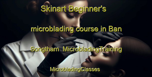Skinart Beginner's microblading course in Ban Songtham | MicrobladingTraining | MicrobladingClasses | SkinartTraining-Thailand