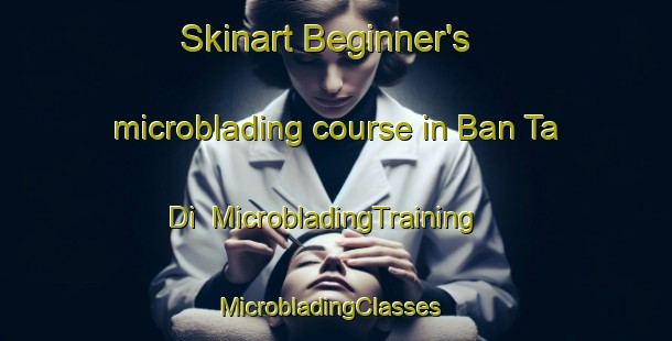 Skinart Beginner's microblading course in Ban Ta Di | MicrobladingTraining | MicrobladingClasses | SkinartTraining-Thailand