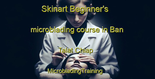 Skinart Beginner's microblading course in Ban Talat Chiap | MicrobladingTraining | MicrobladingClasses | SkinartTraining-Thailand