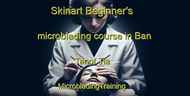 Skinart Beginner's microblading course in Ban Tanot Tia | MicrobladingTraining | MicrobladingClasses | SkinartTraining-Thailand