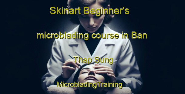 Skinart Beginner's microblading course in Ban Thap Sung | MicrobladingTraining | MicrobladingClasses | SkinartTraining-Thailand