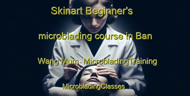 Skinart Beginner's microblading course in Ban Wang Mum | MicrobladingTraining | MicrobladingClasses | SkinartTraining-Thailand
