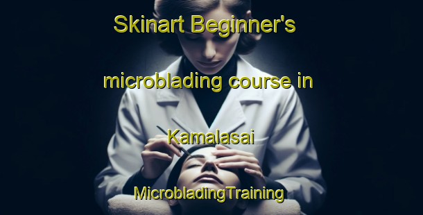 Skinart Beginner's microblading course in Kamalasai | #MicrobladingTraining #MicrobladingClasses #SkinartTraining-Thailand