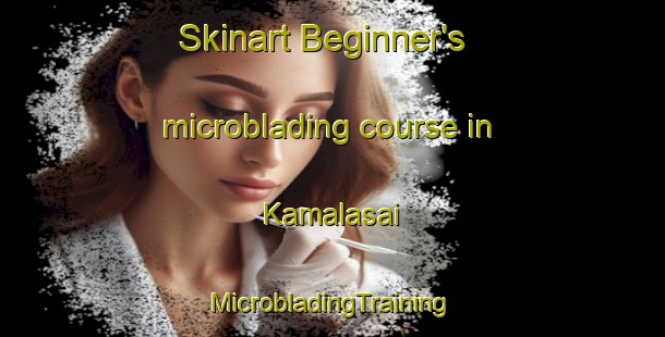 Skinart Beginner's microblading course in Kamalasai | #MicrobladingTraining #MicrobladingClasses #SkinartTraining-Thailand