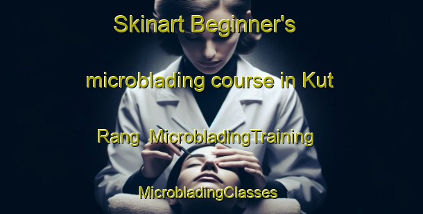 Skinart Beginner's microblading course in Kut Rang | MicrobladingTraining | MicrobladingClasses | SkinartTraining-Thailand
