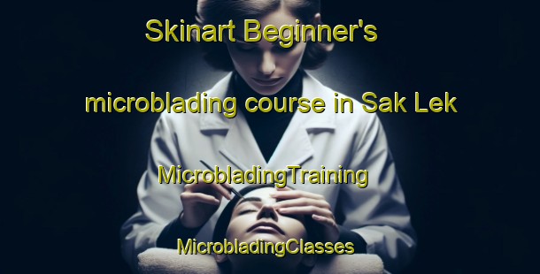 Skinart Beginner's microblading course in Sak Lek | MicrobladingTraining | MicrobladingClasses | SkinartTraining-Thailand