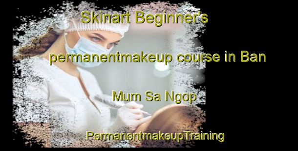 Skinart Beginner's permanentmakeup course in Ban Mum Sa Ngop | #PermanentmakeupTraining #PermanentmakeupClasses #SkinartTraining-Thailand