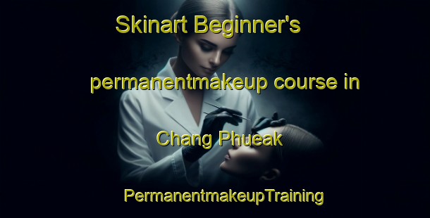 Skinart Beginner's permanentmakeup course in Chang Phueak | #PermanentmakeupTraining #PermanentmakeupClasses #SkinartTraining-Thailand